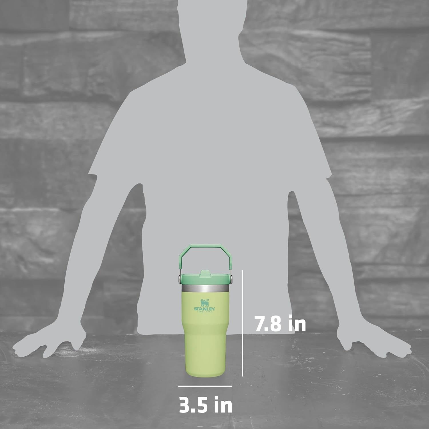 Stanley | IceFlow Stainless Steel Tumbler w/ Straw 20 OZ