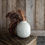 Thumbnail: Doris Vase