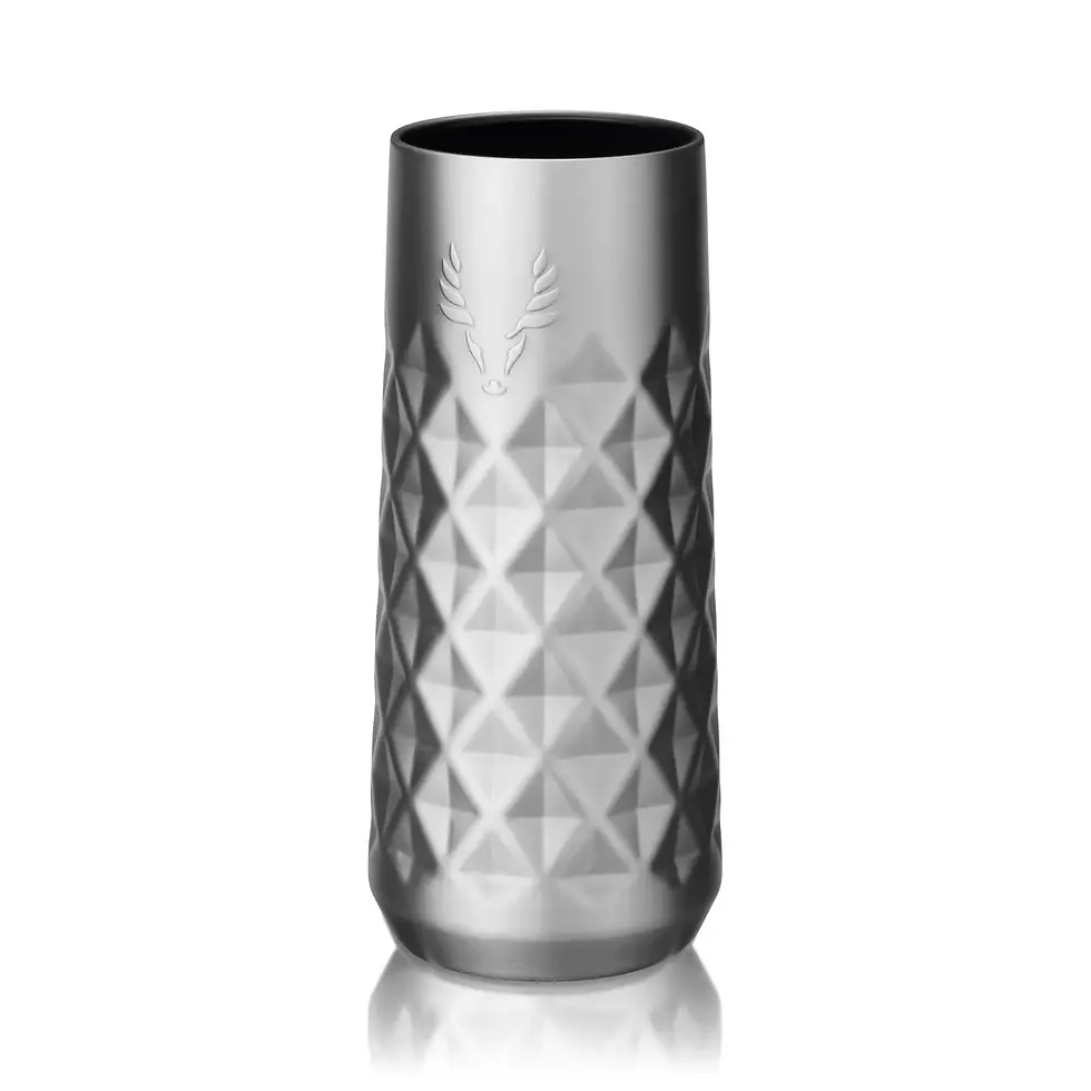Viski | Paragon Insulated Stainless Steel Champagne Flute