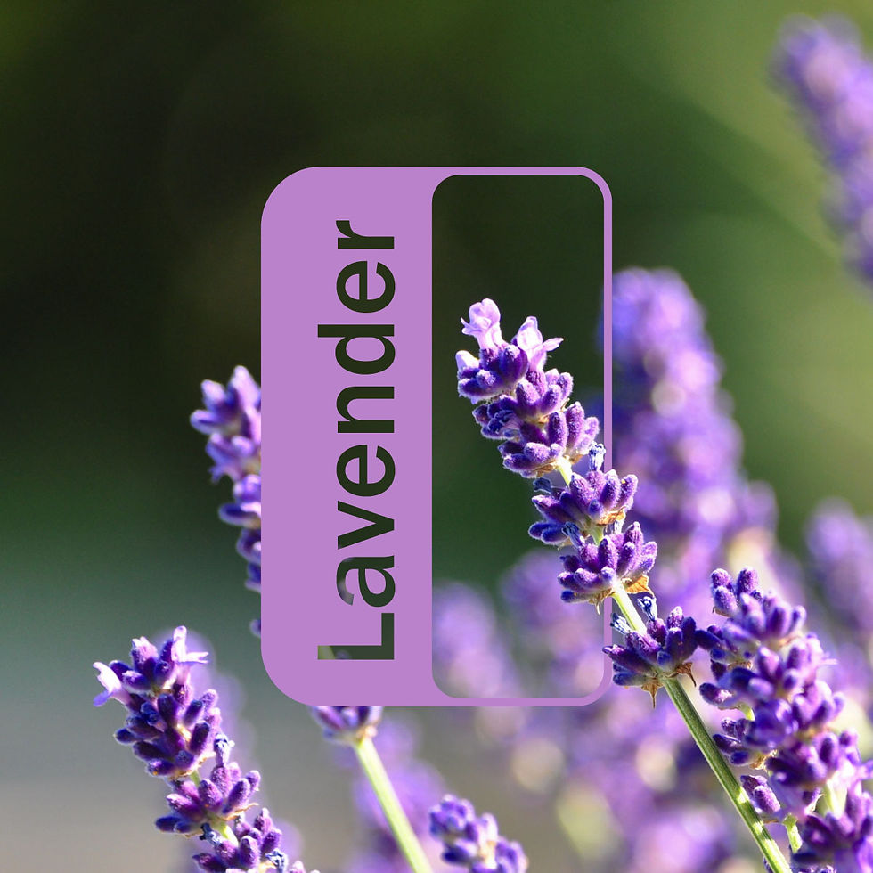 Thumbnail: doTERRA | Lavender Oil