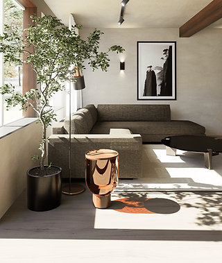 Interieurontwerp particulier