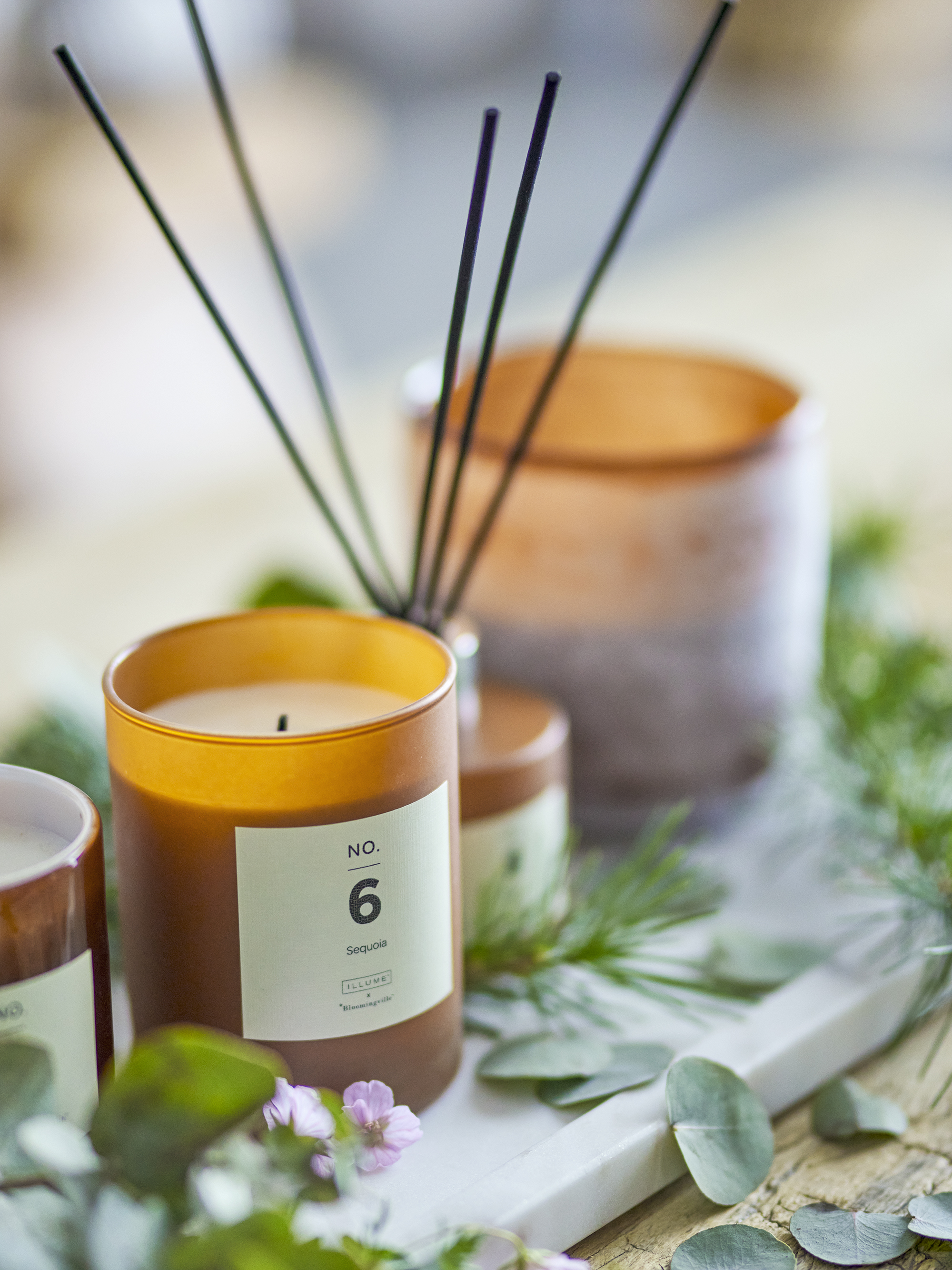 Bougie parfumée NO. 6 — Sequoia en natural wax – Coloris marron