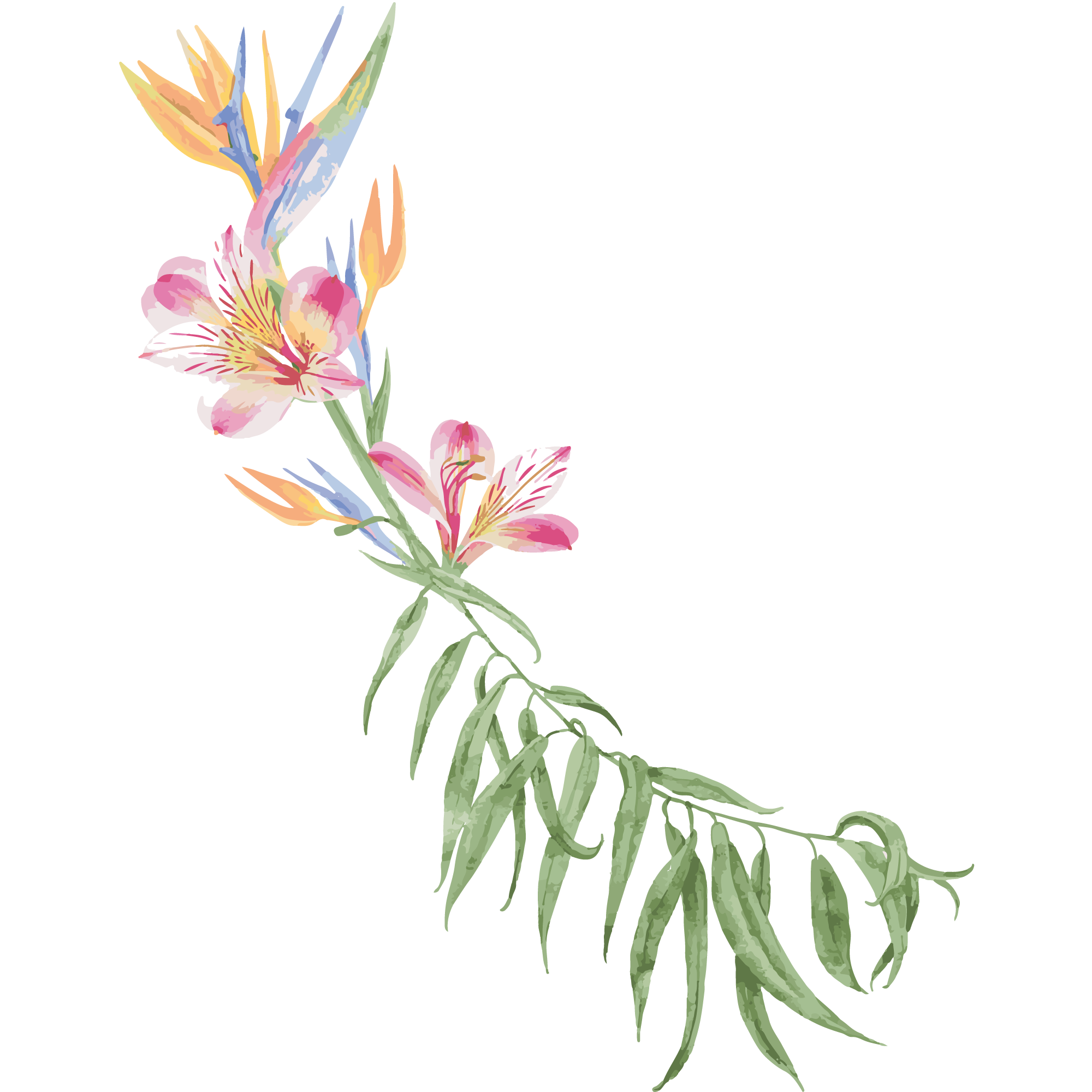 3.png