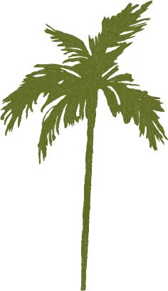 Asset 3_3x.png