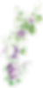 Layer 1.png