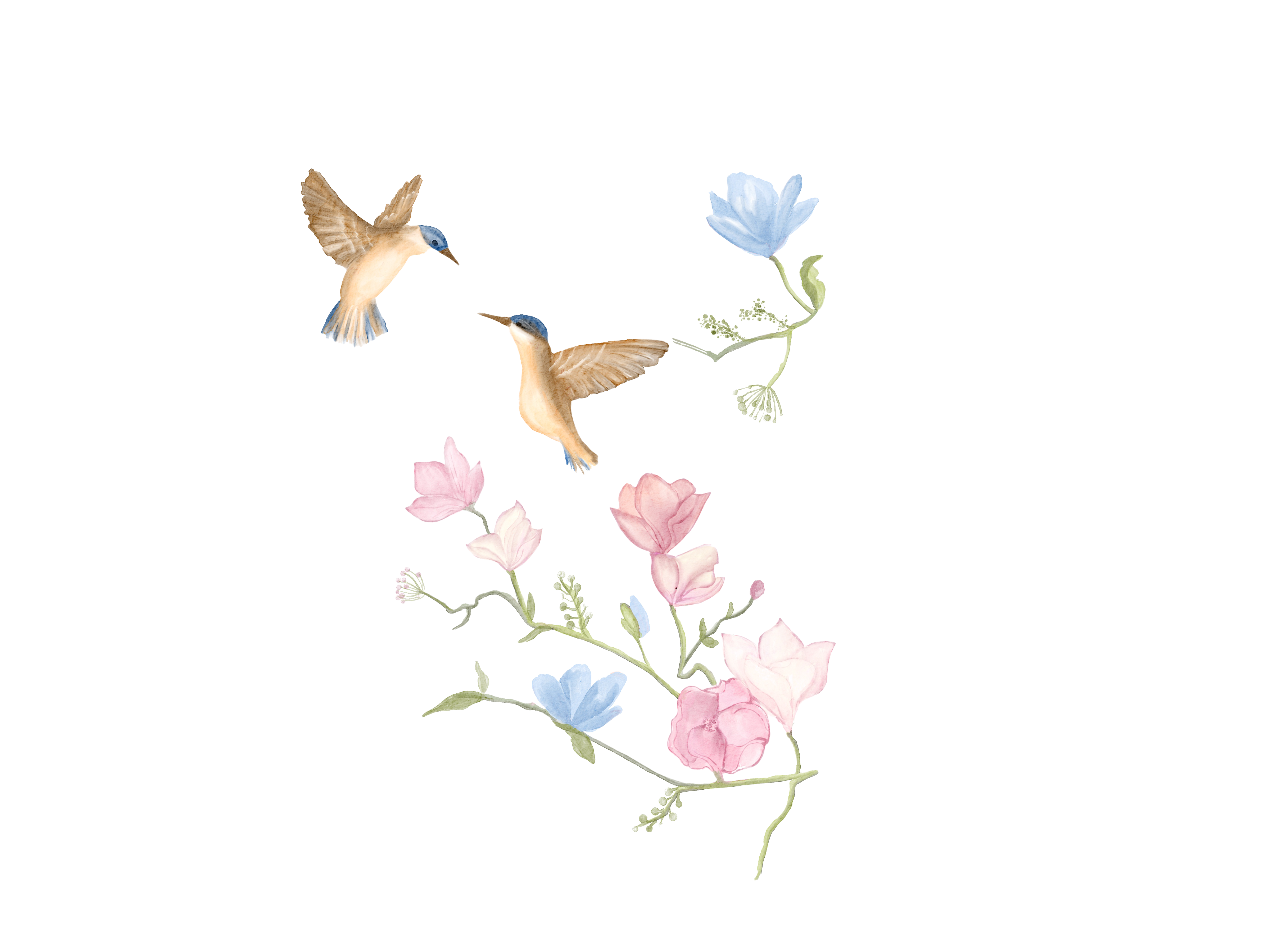 Alice e Luan- Floral.png