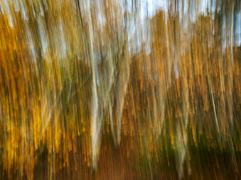 Digitale Achtsamkeit am Plöner See: Kreativität, Fotografie und KI als Wege zu innerer Balance, Kreativität, Fotografie und KI als Wege zu innerer Balance.
Bildungsurlaub, Achtsame Fotografie, achtsam fotografieren