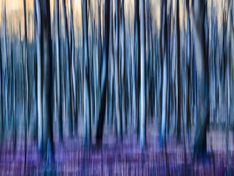 Digitale Achtsamkeit in der Eifel: Kreativität, Fotografie und KI als Wege zu innerer Balance, Kreativität, Fotografie und KI als Wege zu innerer Balance.
Bildungsurlaub, Achtsame Fotografie, achtsam fotografieren