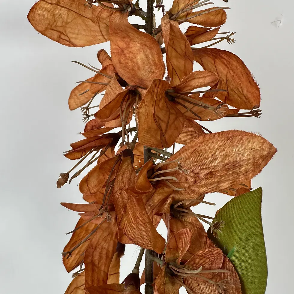 תמונה ממוזערת: סט 3 ענפים - אלמוגן