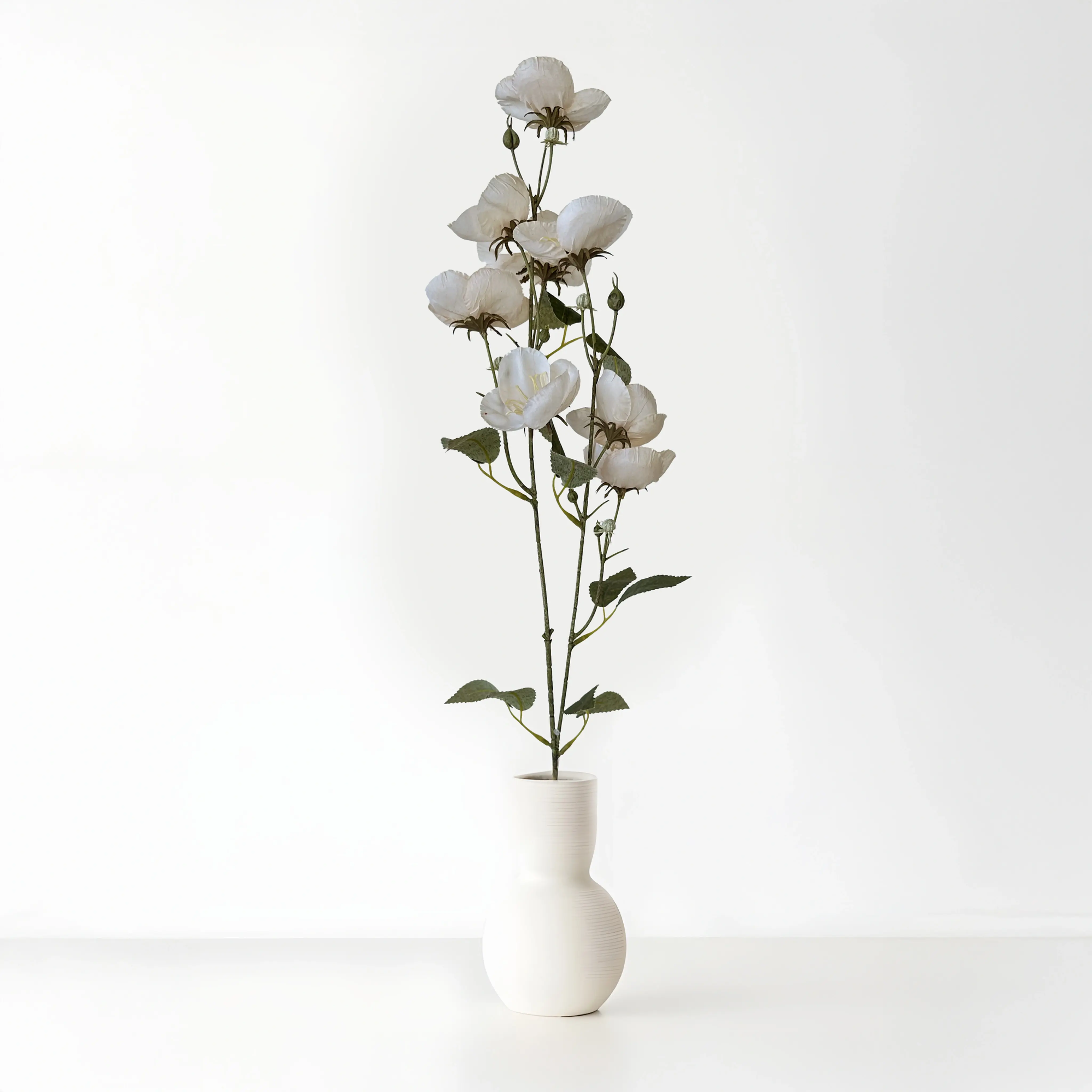 סט 3 ענפים - פרג