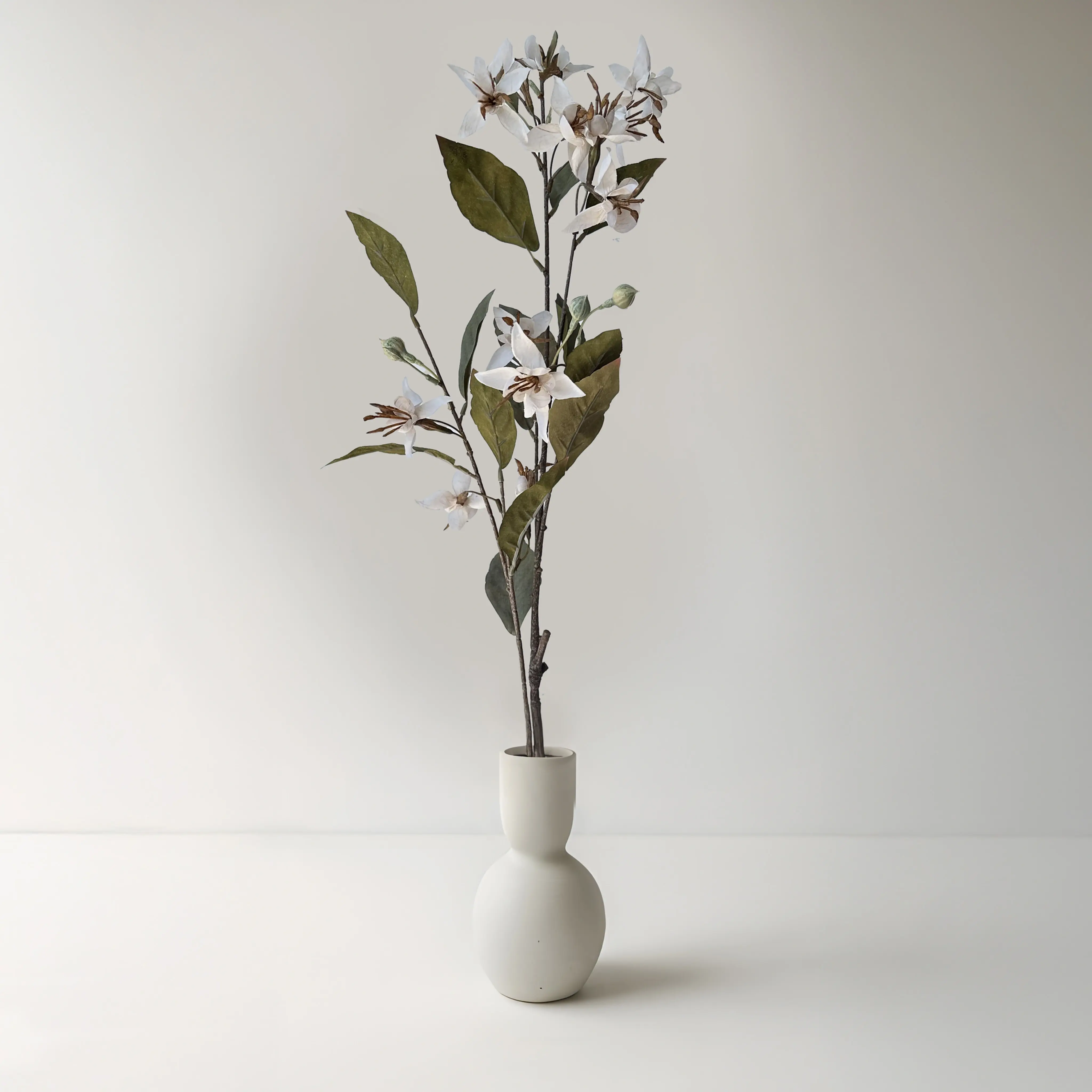 סט 3 ענפים - דבורנית