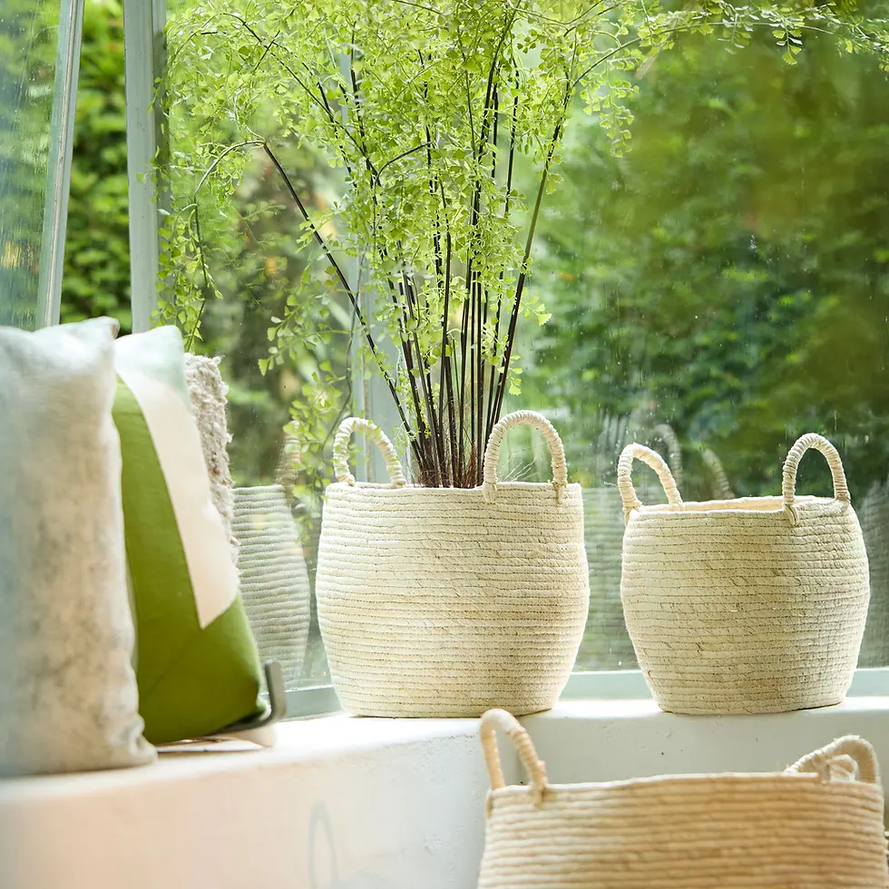 תמונה ממוזערת: שלישיית סלי קש בהירים