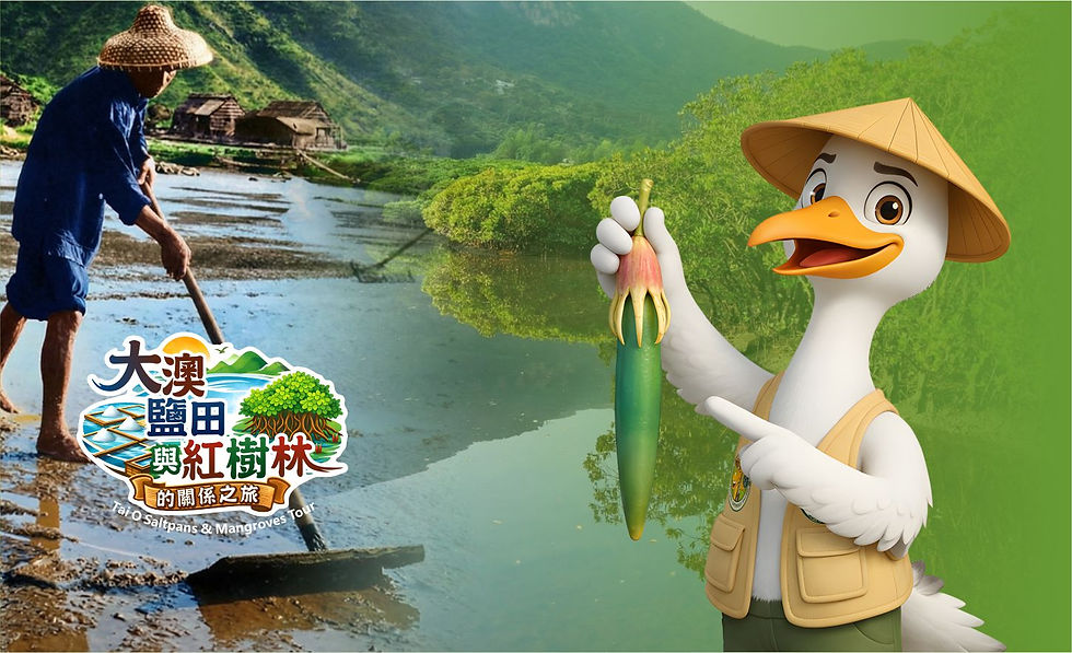大澳鹽田與紅樹林的關係_報名.jpg