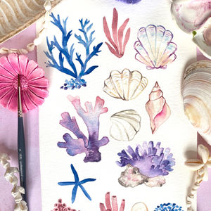 Coraux et coquillages