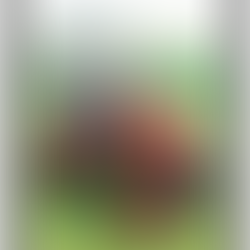 Benefits of Kubota Tractors