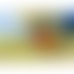 Looking For Some Help With Maintaining Your Lawn?