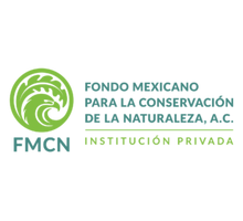 LOGO-FMCN-COLOR-2020-300x128.png