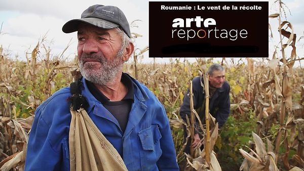 Arte reportage - le vent de la récolte (1).jpg