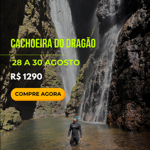 Dragão- 28 a 30 de Agosto