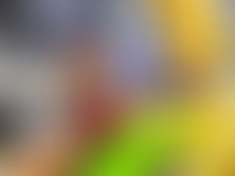 Campeonato brasileiro de envelopamento 11