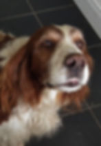 junecopper4