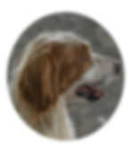 Belle/RESERVED