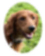 Remi/RESERVED