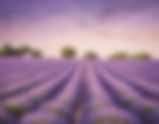 Coping with Anxiety: Tips and Tools 