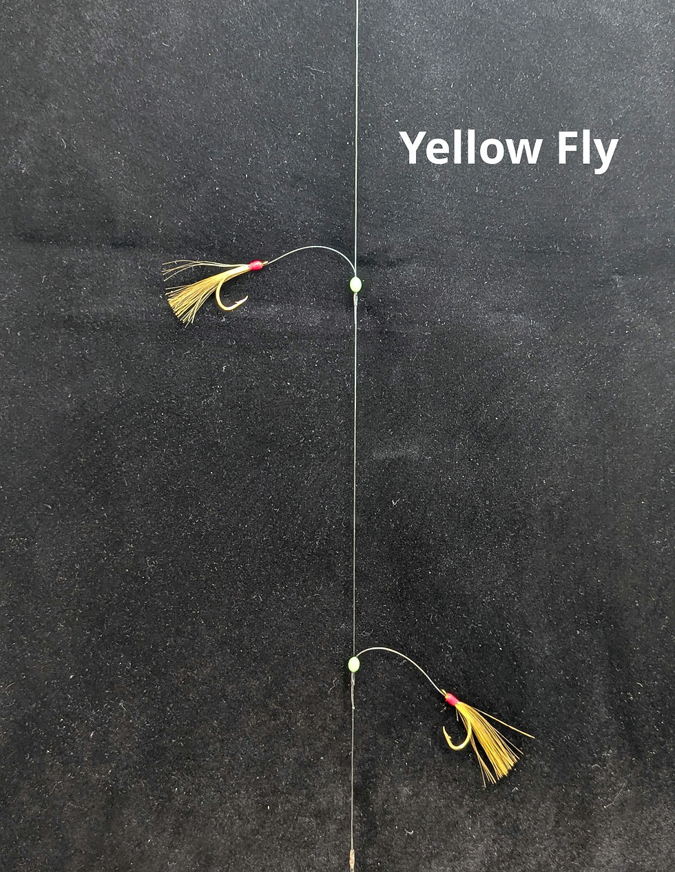 Thumbnail: Sabiki Perch Rig