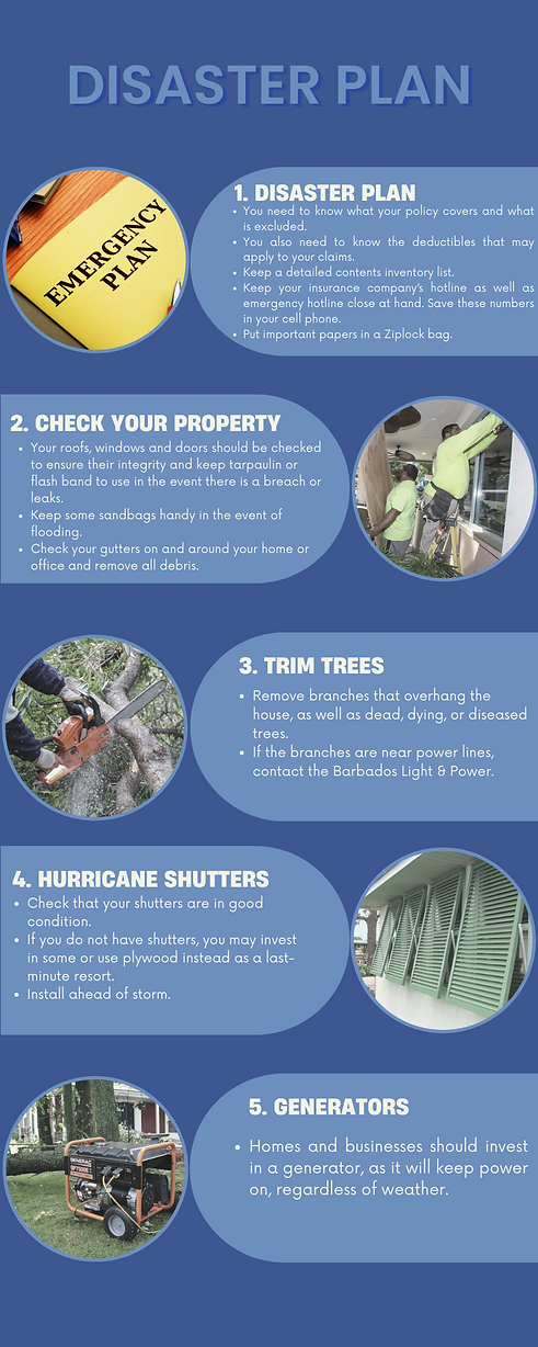 Disaster Plan 2.png