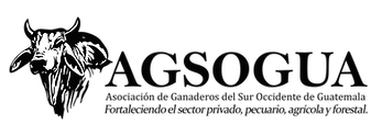 LOGOTIPO AGOSOGUA 4_edited.png