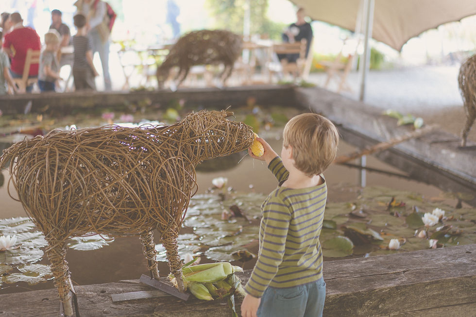 September with Jo Sadler Willow