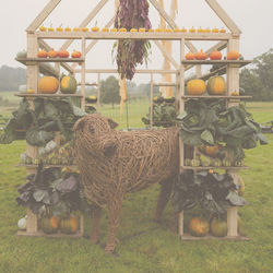 17939938874922274_edited