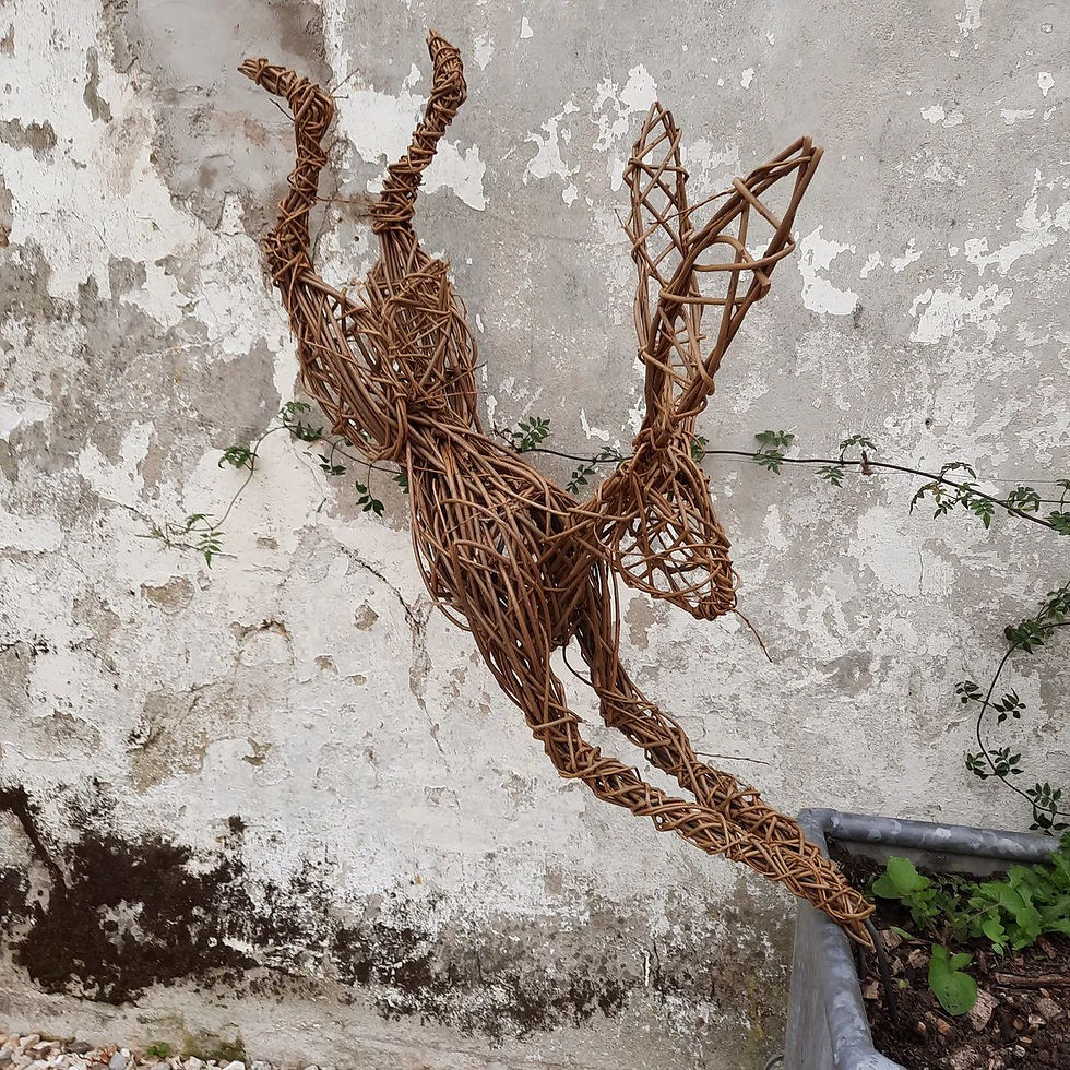 Leaping Hare Workshop