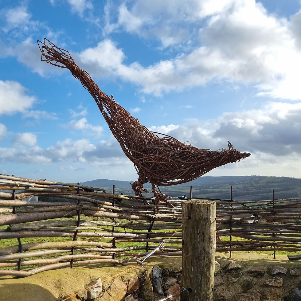 Pheasant or Chicken Workshop