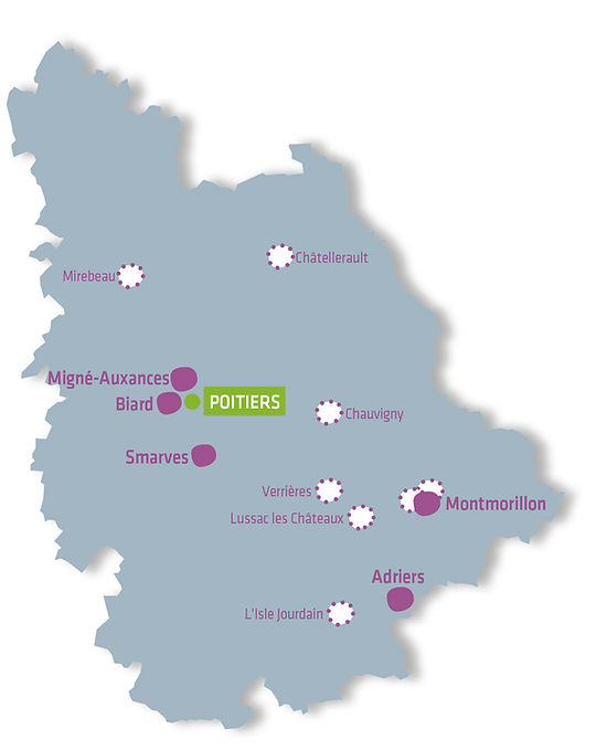 carte Vienne établissements PEP 86.jpg