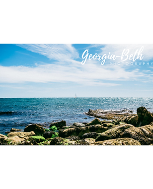Untitled design (22).png
