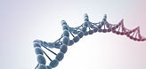 Gene-by-sex interactions in mitochondrial functions and tissue-specific gene expression in cardio-metabolic traits (house mouse)