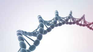 Exame Oncotype DX: O Direito à Cobertura pelo Plano de Saúde