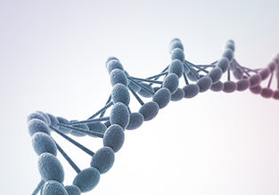 DNA Double Helix