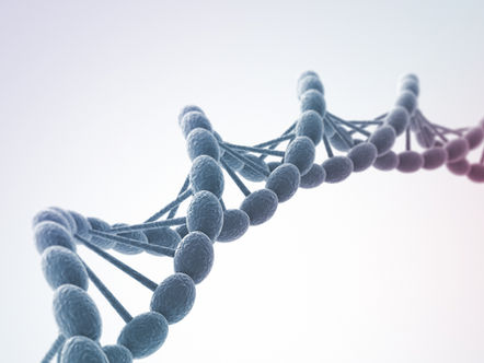 How to Make the Most of Your Inheritance (Without the Diseases!)