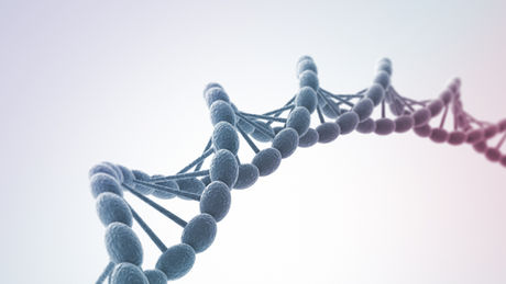 Intricate 3D render of a DNA double helix structure, showcasing the complexity and beauty of genetic material against a soft, dark background.