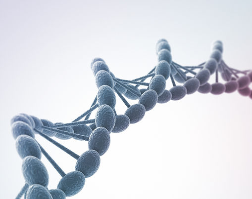 Rinforzare il Sistema Immunitario con le medicine naturali