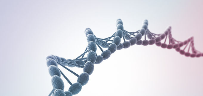 Gene-by-sex interactions in mitochondrial functions and tissue-specific gene expression in cardio-metabolic traits (house mouse)