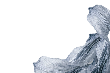 rm267-05-2_edited_edited.png