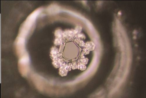 After the prayer ceremony in Bahamas