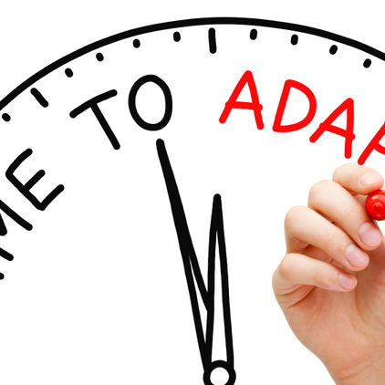 The Ability to Adapt