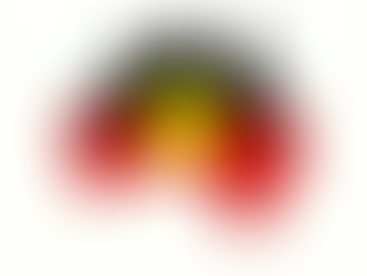 PETITION TO FLY THE ABORIGINAL FLAG PERMANENTLY ON SYDNEY HARBOUR BRIDGE