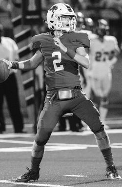 Preston Stone