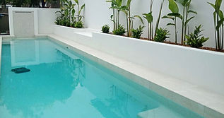 IMG_20240208_161747_669_edited.jpg